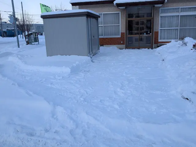 除雪作業やりますサービスの画像