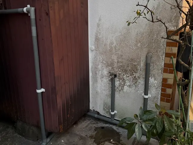 プロの技術でご満足いただけるように心を込めて作業いたしますサービスの画像