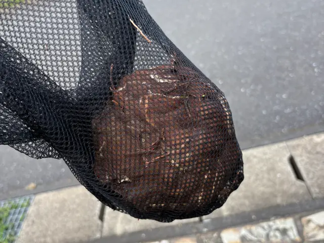 わかりやすい料金の蜂の巣駆除屋さん！出張見積無料です！サービスの画像