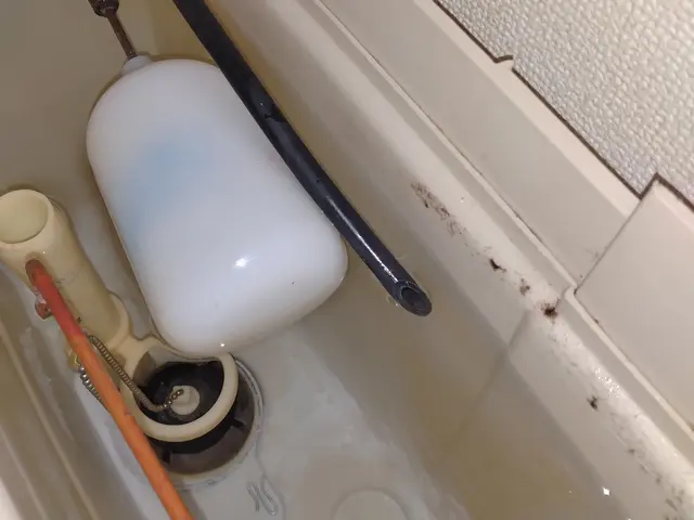 『キレイにしたいけど…』そんなあなたのお悩み、当店にお聞かせください☆彡サービスの画像