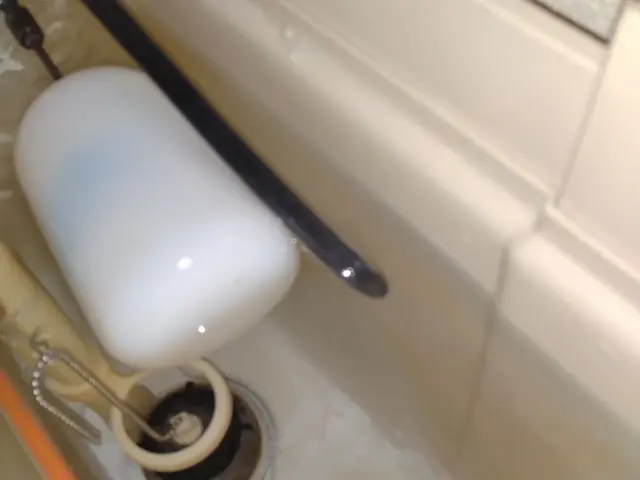 『キレイにしたいけど…』そんなあなたのお悩み、当店にお聞かせください☆彡サービスの画像