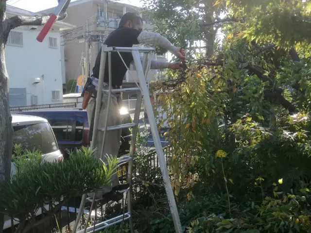 お客様のニーズに合わせて！真心込めて誠心誠意努めてまいります！！！サービスの画像