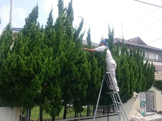 お客様のニーズに合わせて！真心込めて誠心誠意努めてまいります！！！サービスの画像