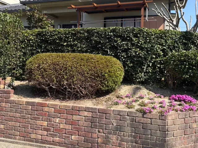 【庭木の剪定】やるなら今がチャンス！サービスの画像