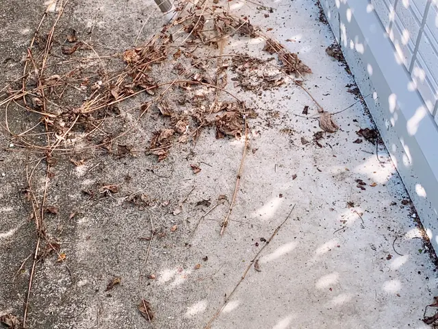 ◆日野です◆女性の方のみ指名可能です※必ず詳しいサービス内容をご覧くださいサービスの画像