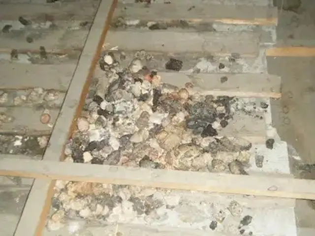 害獣駆除歴10年以上の有資格者多数在籍【事前見積り無料】【事前調査可能】サービスの画像