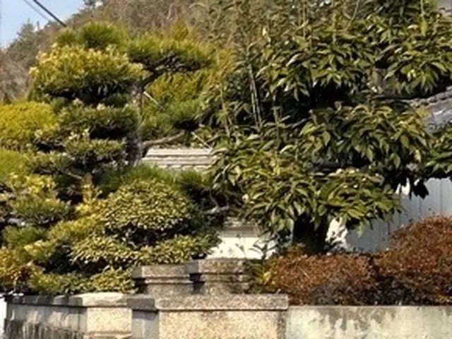 【損害保険加入済】小さな木1本からでも◎ 重機作業可能！料金は目安になります。サービスの画像