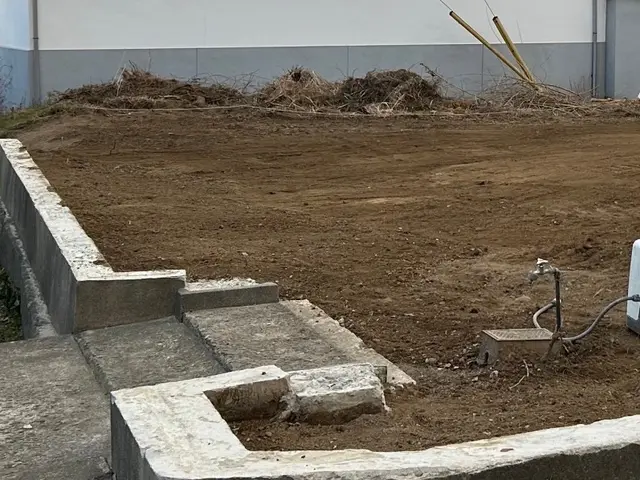 【損害保険加入済】小さな木1本からでも◎ 重機作業可能！料金は目安になります。サービスの画像