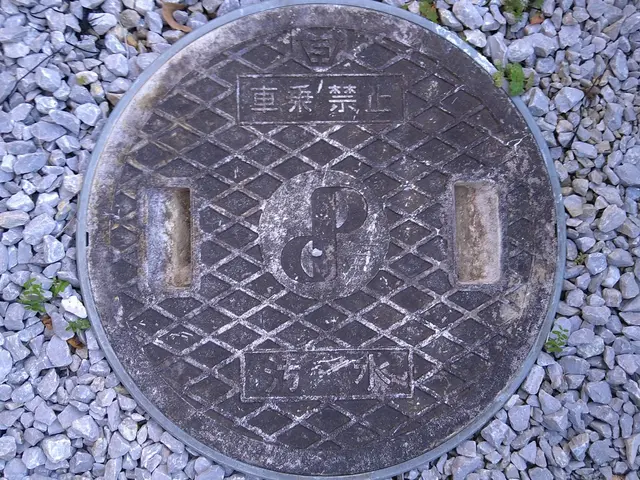 〜まだまだキャンペーン中〜水廻りの掃除いかがでしょうか？サービスの画像