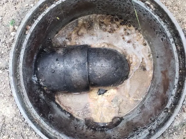 〜まだまだキャンペーン中〜水廻りの掃除いかがでしょうか？サービスの画像