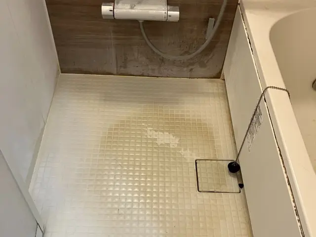 セットがお得！カビも水アカも徹底除去！サービスの画像