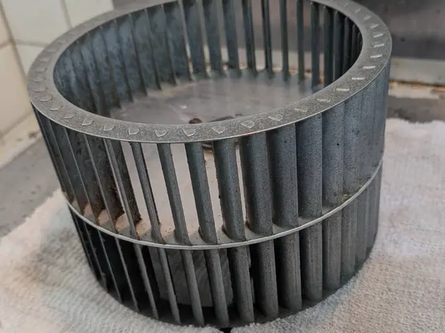 セットがお得！カビも水アカも徹底除去！サービスの画像