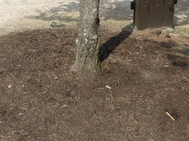 26年以上の現場経験あり！あらゆる現場での掃除、掃収、管理致します！サービスの画像