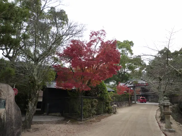 26年以上の現場経験あり！あらゆる現場での掃除、掃収、管理致します！サービスの画像