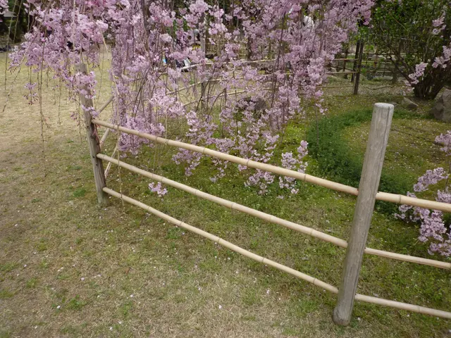 26年以上の現場経験あり！あらゆる現場での掃除、掃収、管理致します！サービスの画像