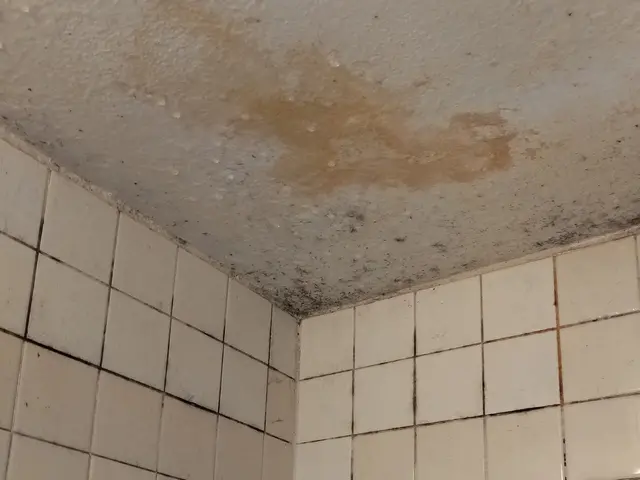 【愛知県内】お風呂・浴室クリーニング　面倒な汚れ、お任せ下さい！サービスの画像