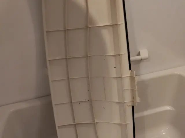 【愛知県内】お風呂・浴室クリーニング　面倒な汚れ、お任せ下さい！サービスの画像