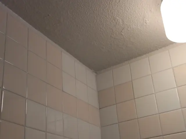 【愛知県内】お風呂・浴室クリーニング　面倒な汚れ、お任せ下さい！サービスの画像