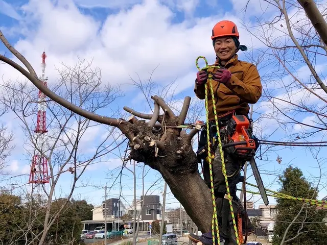 【特殊伐採】クレーン不可の狭所や巨大な庭木も安全に伐採・抜根！回収対応OKサービスの画像