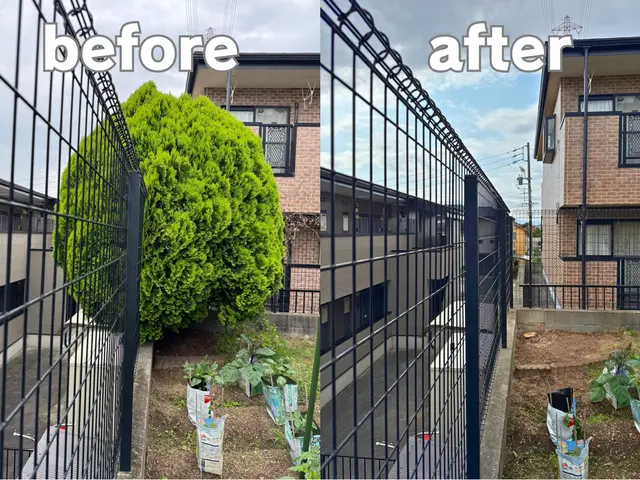 ロープを使った高所伐採！私におまかせください！サービスの画像