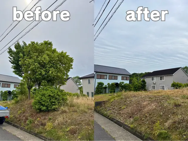 ロープを使った高所伐採！私におまかせください！サービスの画像