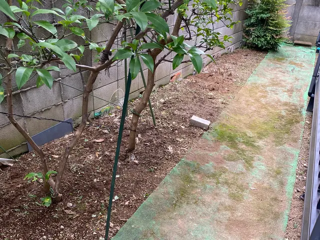 顔写真載ってる店長が雑草抜きに行きます！サービスの画像