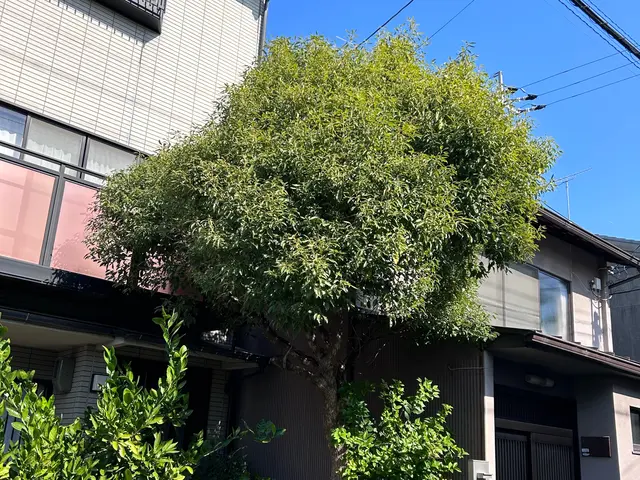 《年中無休》自信の完全自社施工◎豊富な経験と知識で安心！サービスの画像