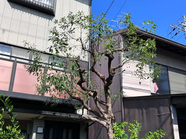 《年中無休》自信の完全自社施工◎豊富な経験と知識で安心！サービスの画像