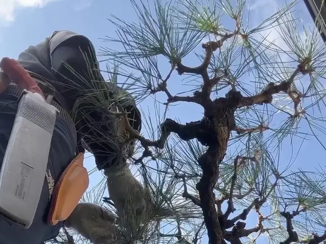 《年中無休》自信の完全自社施工◎豊富な経験と知識で安心！サービスの画像