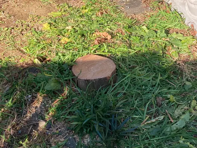 お客様のお力になります！経験と知識を活かして迅速丁寧に作業いたします！サービスの画像