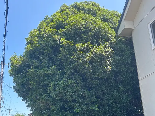 お客様のお力になります！経験と知識を活かして迅速丁寧に作業いたします！サービスの画像