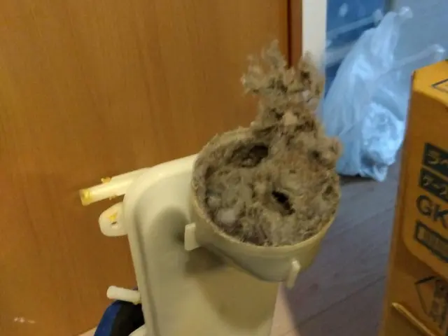 【SHARP専門】糸くず、皮脂汚れ、石鹸カスは洗濯機クリーニングでキレイに。サービスの画像