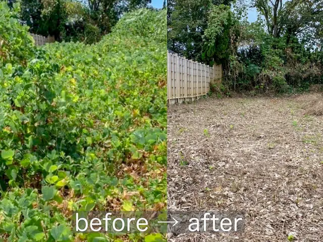 【必ず私が伺います！】丁寧に刈ります！お庭・空き地の手入れ、斜面対応可能◎サービスの画像