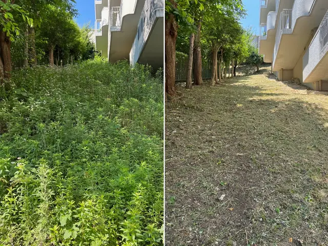 【必ず私が伺います！】丁寧に刈ります！お庭・空き地の手入れ、斜面対応可能◎サービスの画像