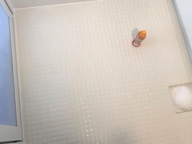 浴室のお掃除★お試しキャンペーン☆お掃除のお困り事は当店におまかせくださいサービスの画像