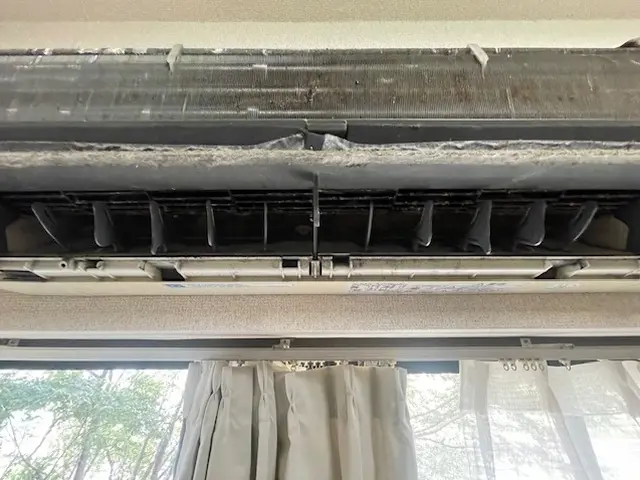 【損保加入済】某ハウスクリーニング大手経験者の店長が直接対応！12/27空きありサービスの画像