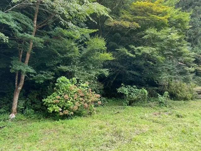 3月新出店◎庭・畑・空き地◎丁寧・迅速【徳島、香川】サービスの画像