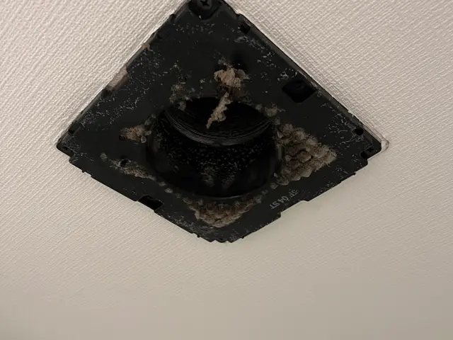 プロの技術でご満足いただけるように心を込めて作業いたしますサービスの画像