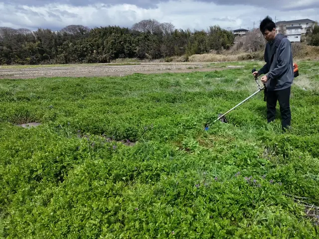 【草刈り全般】 空き地 空き家 田んぼ 畑どこでも可能☆お庭の雑草にお困りの方！サービスの画像