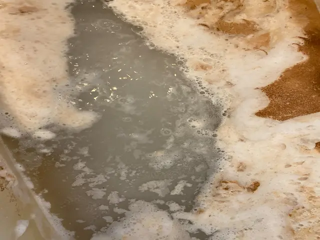 ☆夫婦で活動してます☆1月2月[限定]！5周年記念価格☆ ※12月は通常価格案内サービスの画像