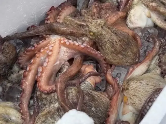 訪問介護　にじの輪　迅速に自社対応致します　◆年中無休・土日祝もご予約歓迎◆サービスの画像