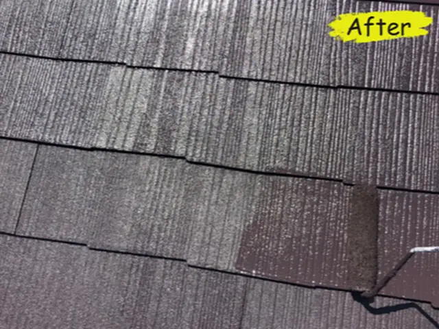 耐久性アップ！屋根塗装で家の寿命を延ばす｜究極の防御｜一級塗装士がプロの屋根塗装サービスの画像