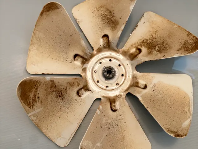 レンジフードのプロペラ換気扇の頑固な油汚れを徹底除去！サービスの画像