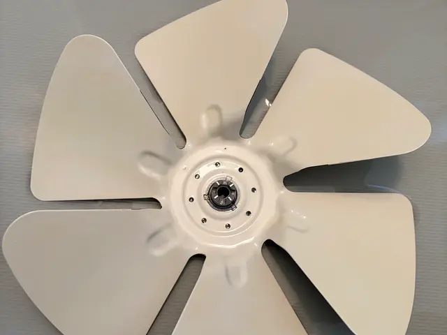 レンジフードのプロペラ換気扇の頑固な油汚れを徹底除去！サービスの画像