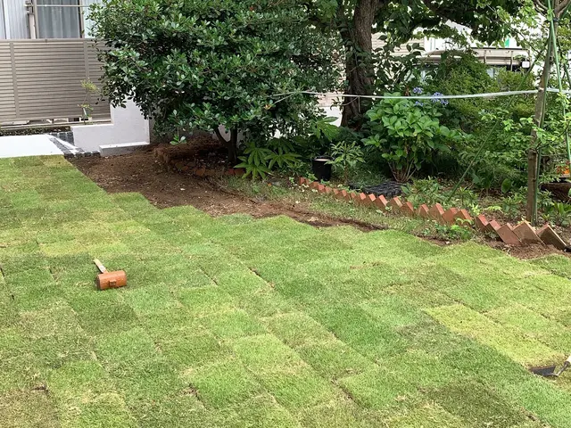 綺麗な芝憧れますよね！見てくれてありがとうございます！芝！張っちゃいましょう！サービスの画像