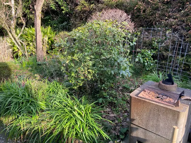 納得いくまでとことん丁寧に仕上げますサービスの画像