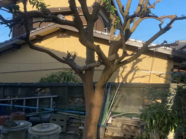 納得いくまでとことん丁寧に仕上げますサービスの画像