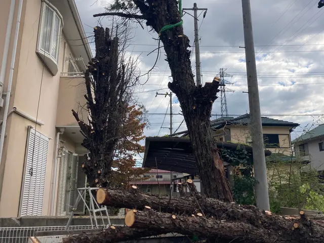 【業歴17年の経験と実績】対応地域外も対応OK！迅速丁寧に仕上げます！サービスの画像