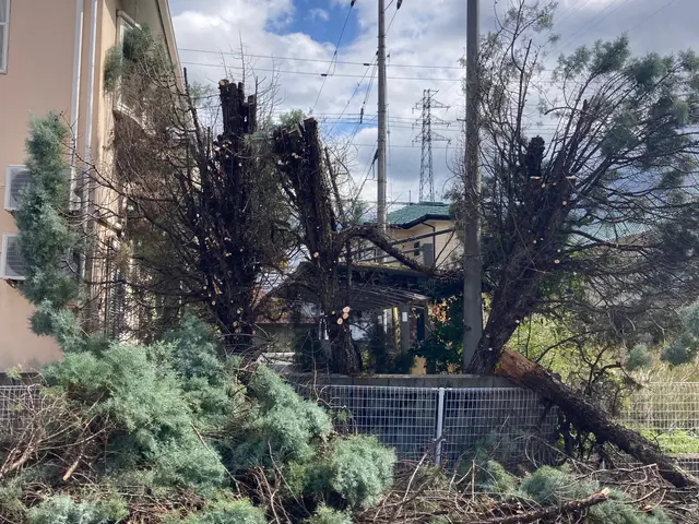 【業歴17年の経験と実績】対応地域外も対応OK！迅速丁寧に仕上げます！サービスの画像