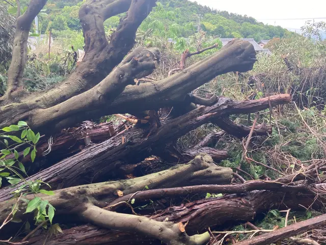 【業歴17年の経験と実績】対応地域外も対応OK！迅速丁寧に仕上げます！サービスの画像